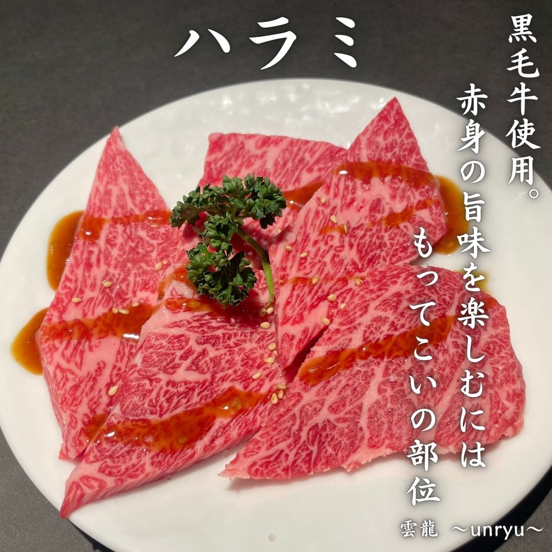 雲龍」人気No.1焼肉セット〔カルビ・ハラミ・牛タン〕 （約1,030